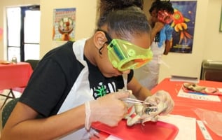 child learning science